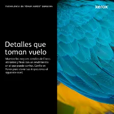Tóner Xerox 106r03747 Original, Magenta, Extra (súper) Alto Rendimiento