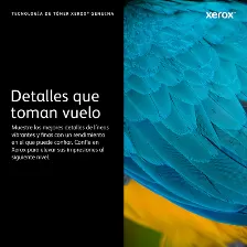 Tóner Xerox 113r00724 Original, Magenta, Compatibilidad 6180v_dn, 6180v_n, 6180mfpv_d, 6180mfpv_n, Rinde 6000 Páginas