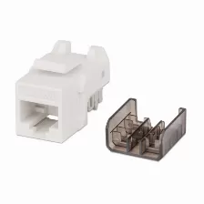 Jack Keystone Intellinet Cat 6a, Blanco Con Negro