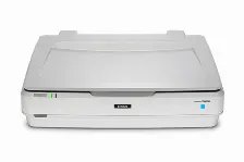Escaner Epson Expression 13000xl Resolución 2400 X 4800 Dpi, Usb, Blanco