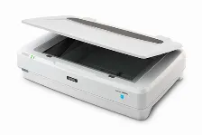 Escaner Epson Expression 13000xl Resolución 2400 X 4800 Dpi, Usb, Blanco