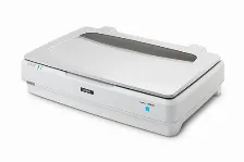 Escaner Epson Expression 13000xl Resolución 2400 X 4800 Dpi, Usb, Blanco