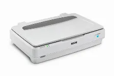 Escaner Epson Expression 13000xl Resolución 2400 X 4800 Dpi, Usb, Blanco