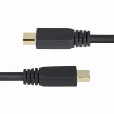 Cable Displayport Startech.com Mini Displayport 1.4, 3 M, Negro