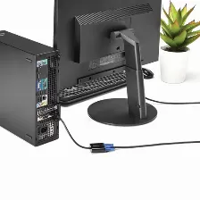 Adaptador Vídeo Startech.com Displayport A Vga (d-sub), 0.1 M, Negro