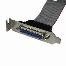 Cable Startech (plate25f16lp), Adaptador De 40cm Header Cabezal Bracket Paralelo Perfil Bajo Db25 A Idc26 Pines Placa Base